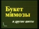 Лидия Федосеева-Шукшина и фильм Букет мимозы и другие цветы (1984)