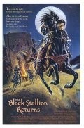 Аллен Гарфилд и фильм Возвращение черного скакуна (1983)
