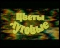 Борис Новиков и фильм Цветы луговые (1980)