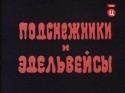 Андрей Ростоцкий и фильм Подснежники и эдельвейсы (1979)