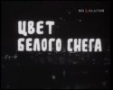 Леонид Кмит и фильм Цвет белого снега (1970)