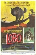 Рекс Аллен (голос) и фильм Легенда о Лобо (1962)