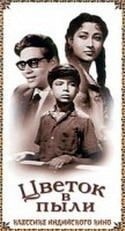 Раджендра Кумар и фильм Цветок в пыли (1959)