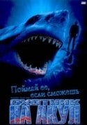 Мэтт Кодд и фильм Охотник на акул (2001)
