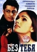 Прианшу Чаттерджи и фильм Без тебя (2001)