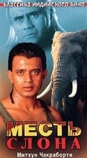 Анджана Мумтаз и фильм Месть слона (2000)