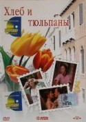Джузеппе Баттистон и фильм Хлеб и тюльпаны (2000)