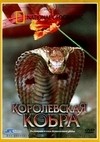 Дэвид Хилленбранд и фильм Королевская кобра (1999)
