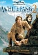 кадр из фильма Белый Клык: Легенда о белом волке