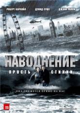 Дэвид Хейман и фильм Наводнение (2007)