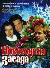 Даниил Белых и фильм Новогодняя засада (2008)