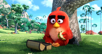 Angry Birds в кино кадры