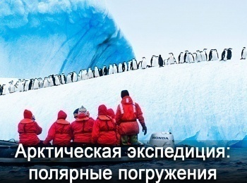 Арктическая-экспедиция:-полярные-погружения