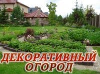 Декоративный-огород-Итоги-лета-Укладка-дорожки