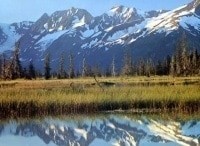 Дикая-Аляска