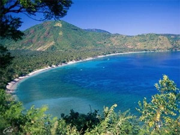 Дикая-природа-островов-Индонезии-2-серия-Острова-муссонов