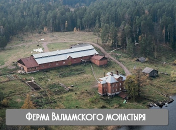 Ферма-Валаамского-монастыря