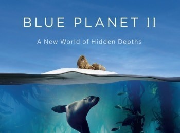 программа Пятница: Голубая планета 2 Зеленые моря