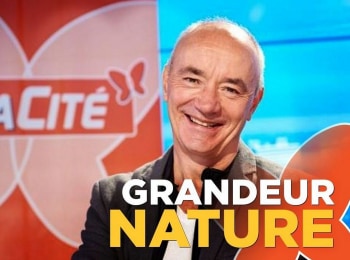 программа TV5: Grandeur Nature