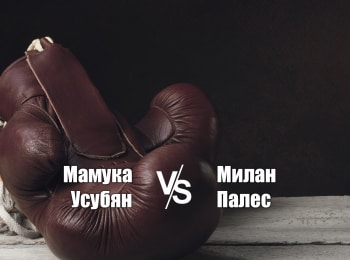 Кикбоксинг-Fair-Fight-Мамука-Усубян-против-Милана-Палеса