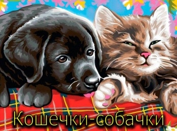 программа Мульт: Кошечки собачки Милые песни Обидка