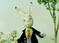 программа Детский: Кролик с капустного огорода