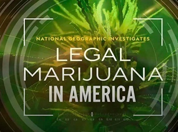 Легализация-марихуаны-в-Америке-Зеленая-лихорадка