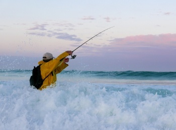 программа Морской: Лови волну, лови рыбу