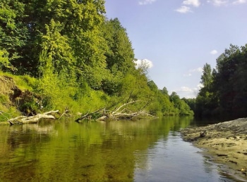 Малые-реки-Черноземья-Летняя-рыбалка-на-узерку