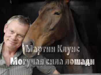 Мартин-Клунс-Могучая-сила-лошади