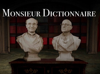Monsieur-Dictionnaire