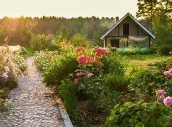 программа Загородный: Московские садоводы Екатерина и экзотические растения