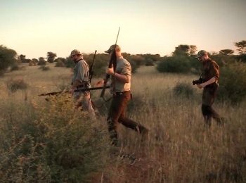 программа Охота: На охотничьей тропе Летняя охота на косулю