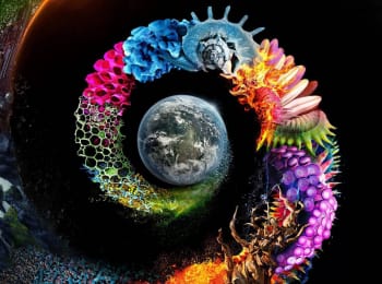 программа National Geographic: Неизвестная планета земля Зрелище, от которого дух захватывает