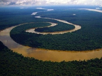 Неприрученная-Амазонка