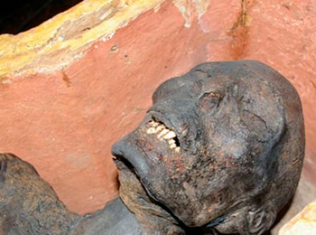 программа History2: О чем молчат мумии Пробитый череп