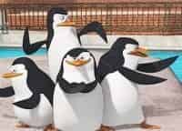 программа 2х2: Пингвины из Мадагаскара Лосось для Шкипера