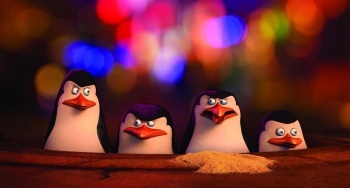 программа Премиальное SD: Пингвины Мадагаскара