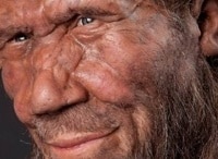 Почему-исчезли-неандертальцы?