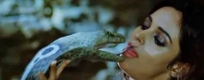 австралийские фильмы про змей
