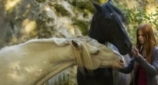 фильмы драмы про лошадей