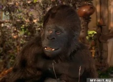 фильмы комедии про горилл
