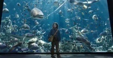 фильмы про аквариум