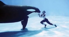 фильмы про китов