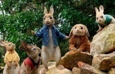 фильмы про кроликов