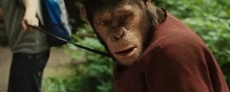 фильмы про обезьян
