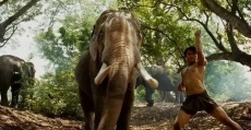 фильмы про слонов
