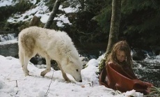 фильмы про волков