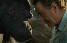 фильмы семейные про горилл