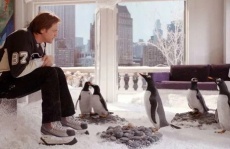  семейные про пингвинов